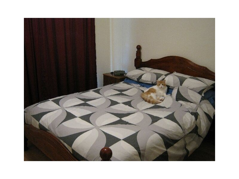 19 Wirrega Road, Mundulla SA 5270