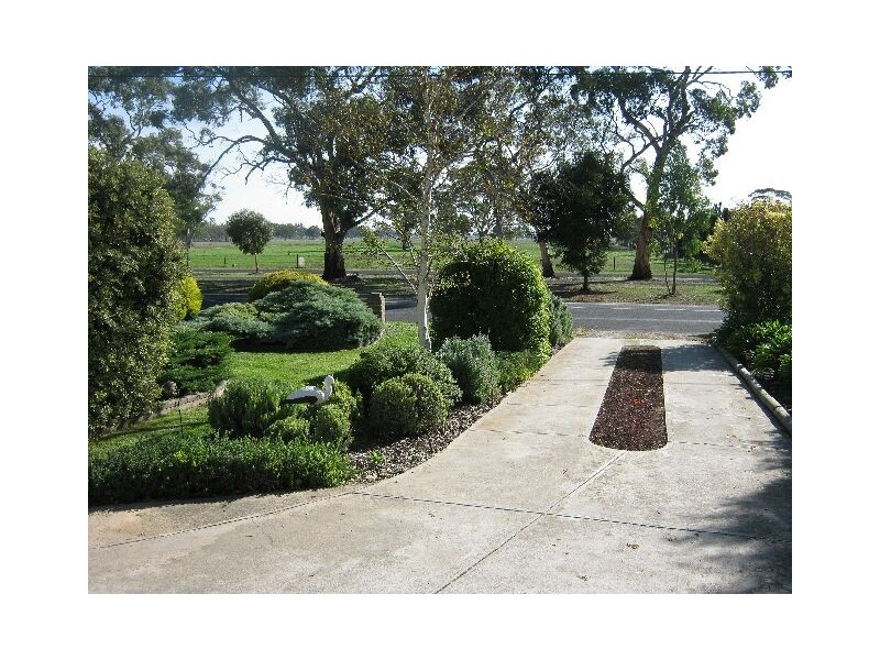16 Naracoorte Road, Bordertown SA 5268
