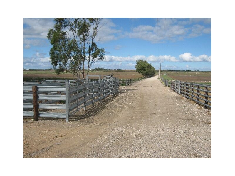 00 Wellington to Jervois, Jervois SA 5259