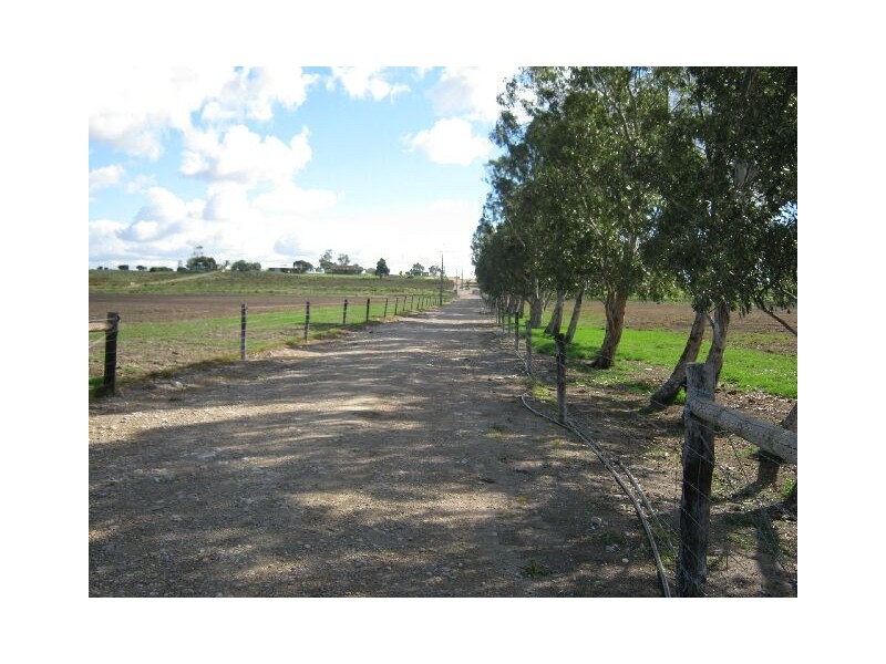 00 Wellington to Jervois, Jervois SA 5259