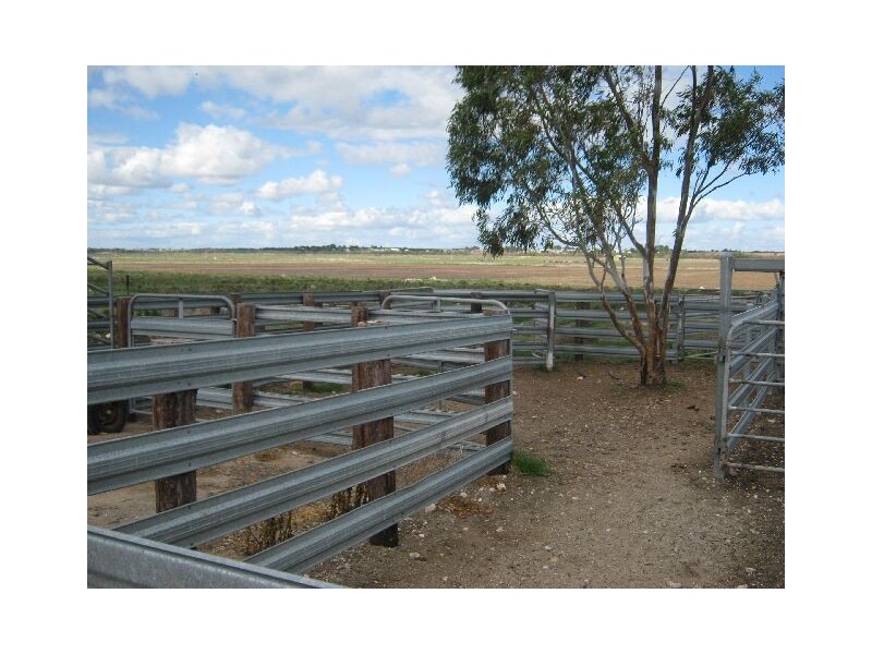 00 Wellington to Jervois, Jervois SA 5259