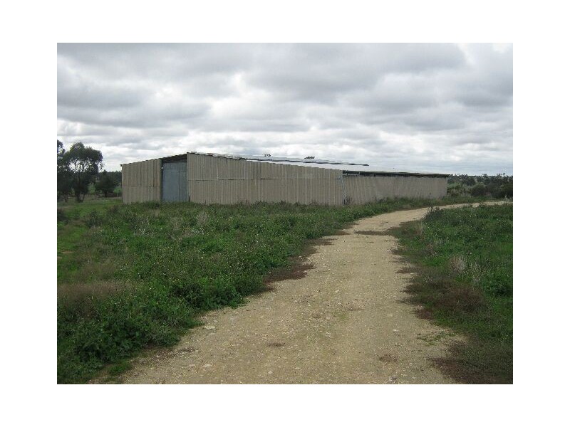 00 Pine Hill Road, Bordertown SA 5268