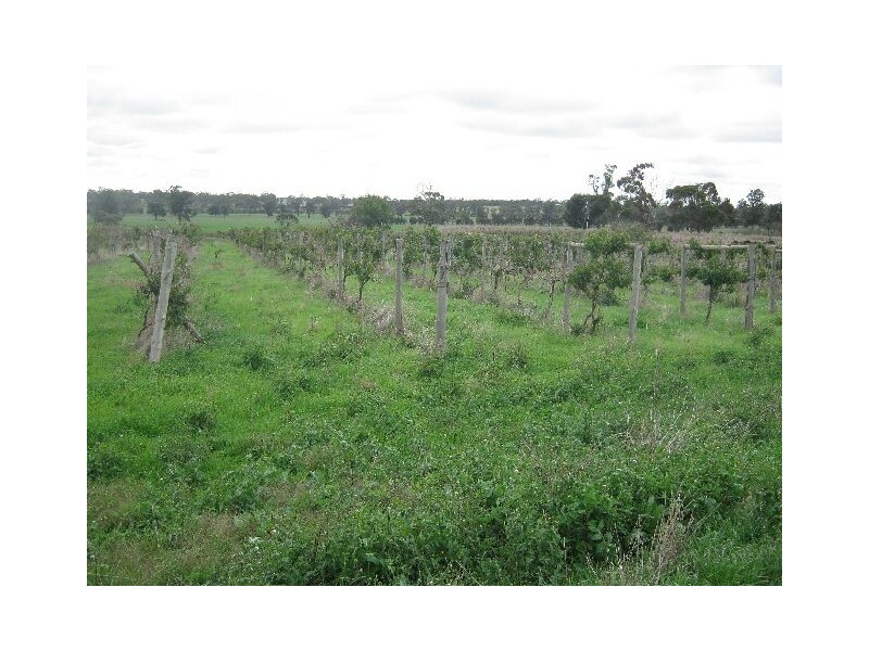 00 Pine Hill Road, Bordertown SA 5268