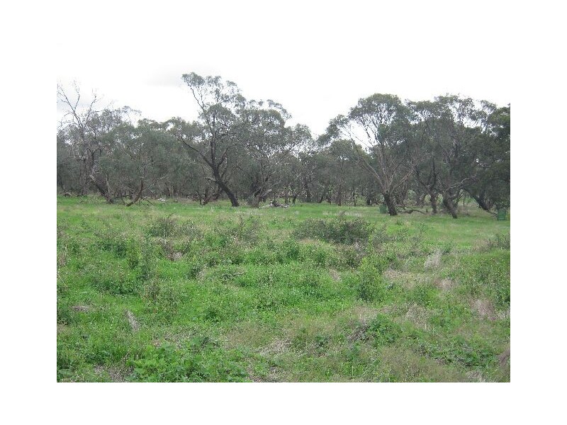 00 Pine Hill Road, Bordertown SA 5268