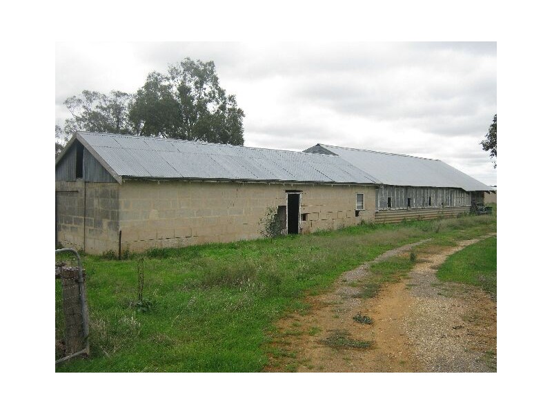 00 Pine Hill Road, Bordertown SA 5268