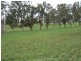 00 Beeamma – Parsons Road, Padthaway SA 5271