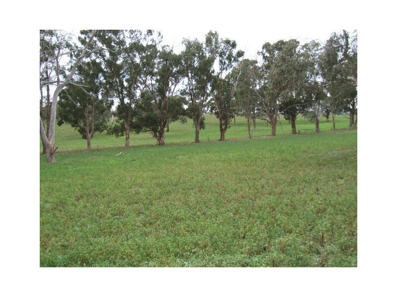 00 Beeamma – Parsons Road, Padthaway SA 5271