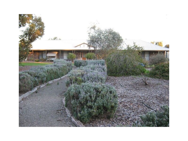 18 South Avenue, Bordertown SA 5268