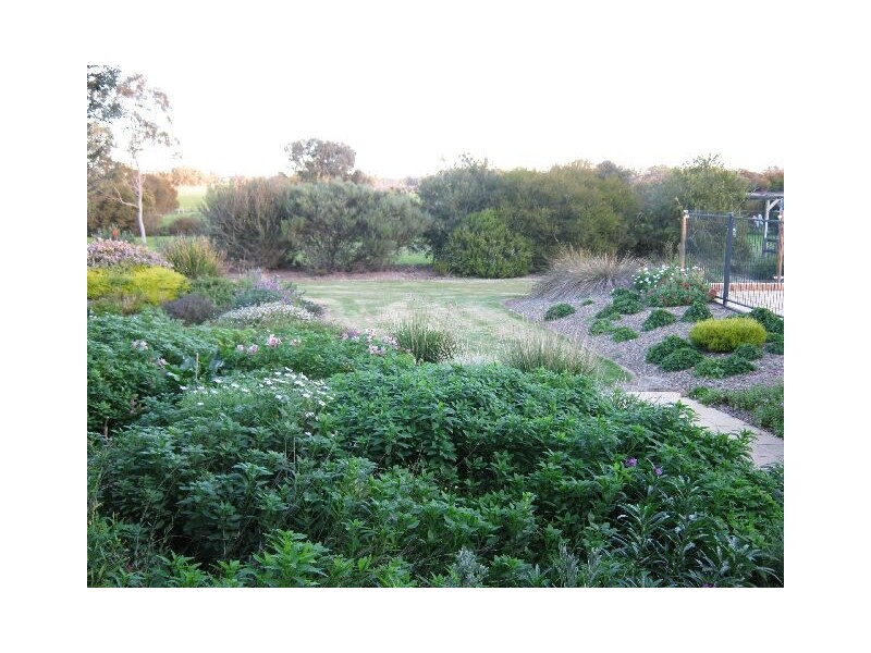 18 South Avenue, Bordertown SA 5268
