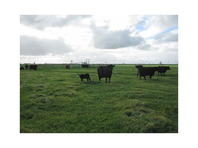 ” Rosedale”, Mundulla SA 5270