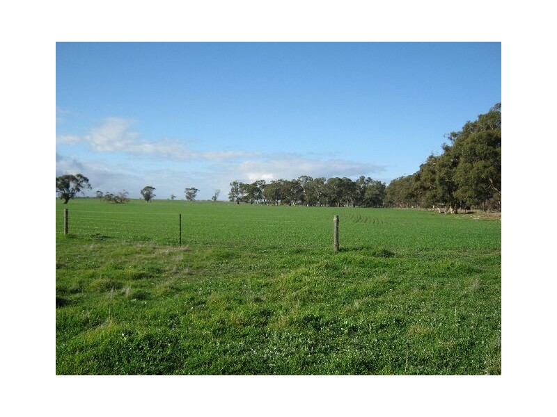 ” Rosedale”, Mundulla SA 5270