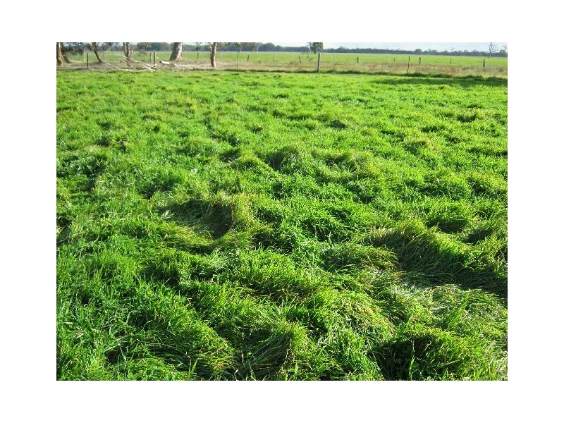 ” Rosedale”, Mundulla SA 5270