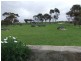 Lot 2,  Riddoch Hwy, Keith SA 5267