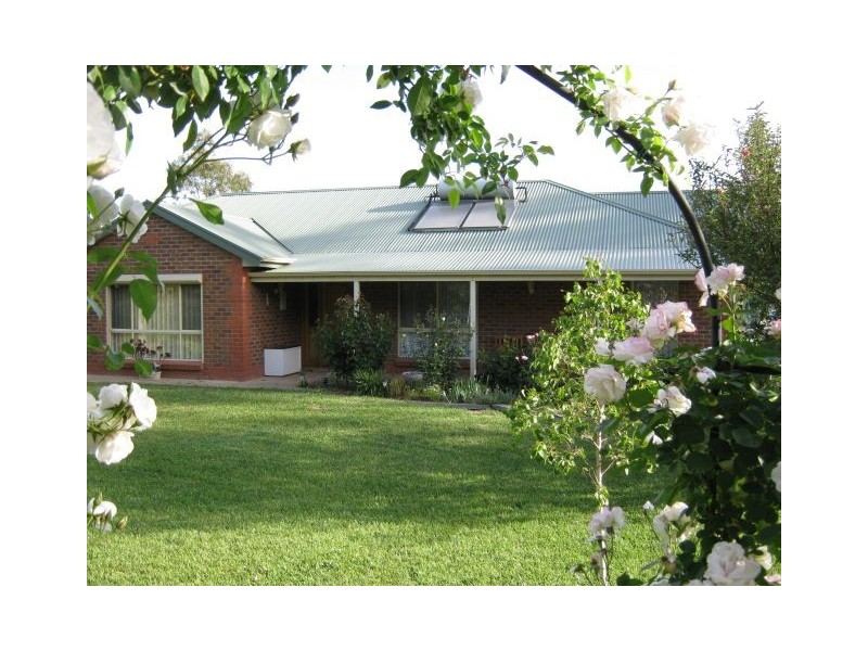 2 South Avenue, Bordertown SA 5268