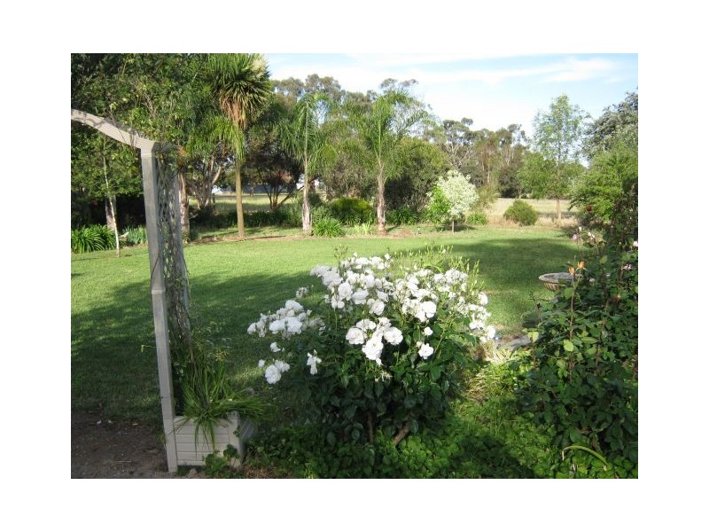 2 South Avenue, Bordertown SA 5268