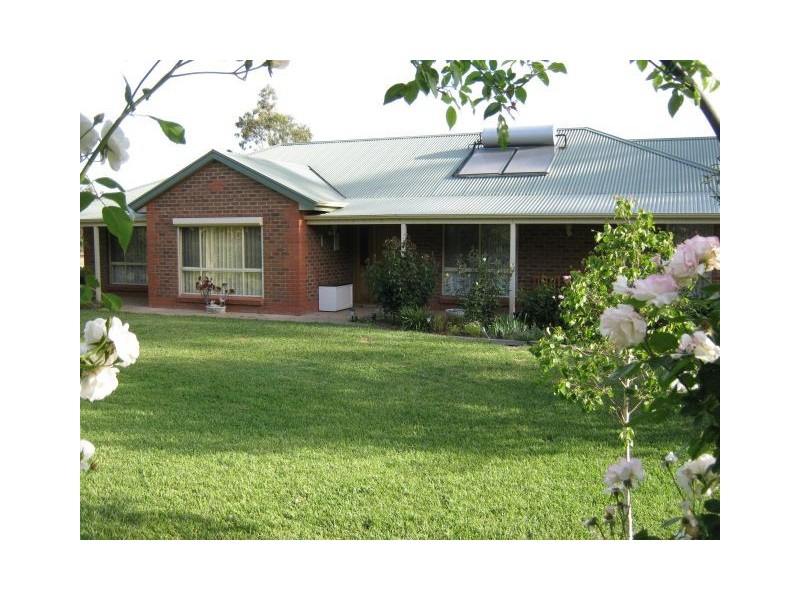 2 South Avenue, Bordertown SA 5268