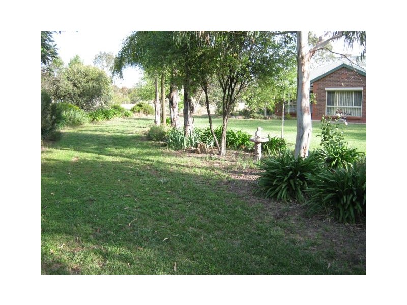 2 South Avenue, Bordertown SA 5268