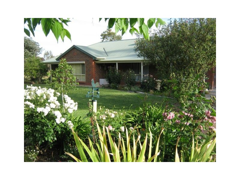 2 South Avenue, Bordertown SA 5268
