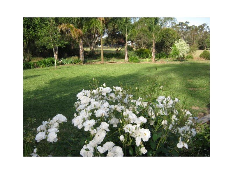 2 South Avenue, Bordertown SA 5268