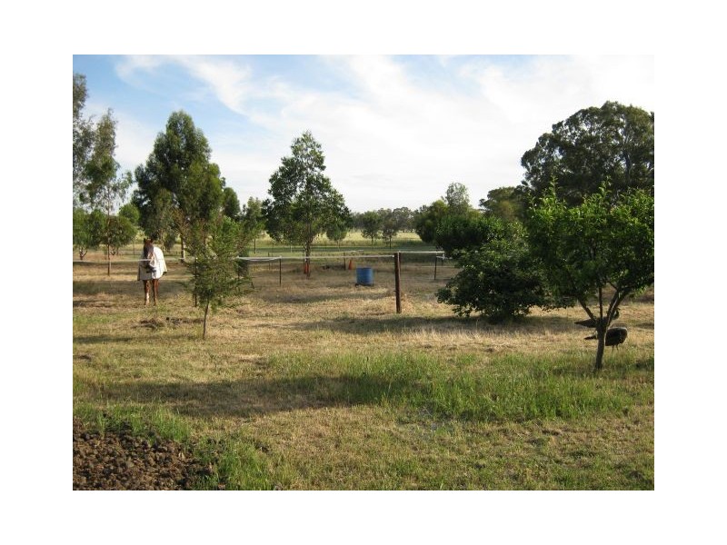2 South Avenue, Bordertown SA 5268