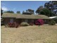 16 Bennett Street, Keith SA 5267