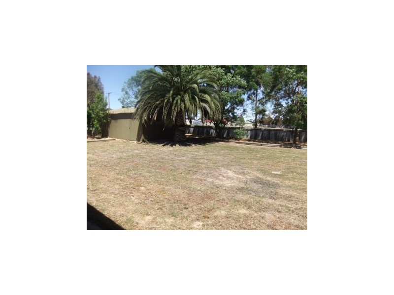 16 Bennett Street, Keith SA 5267