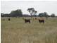 00 Punjum Road, Mundulla SA 5270