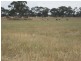 00 Punjum Road, Mundulla SA 5270