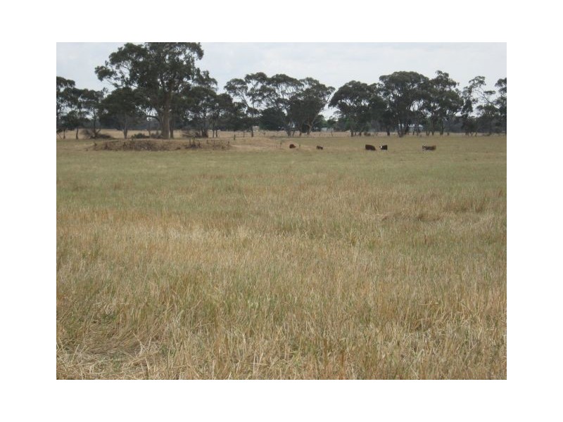 00 Punjum Road, Mundulla SA 5270