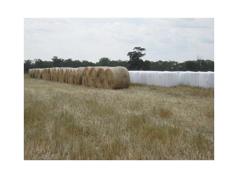 00 Punjum Road, Mundulla SA 5270