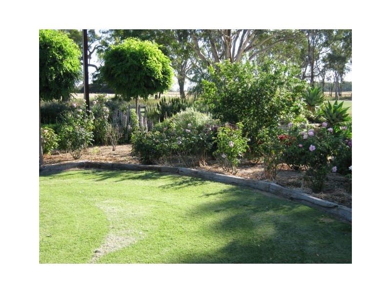 646 Cannawigara Road, Bordertown SA 5268