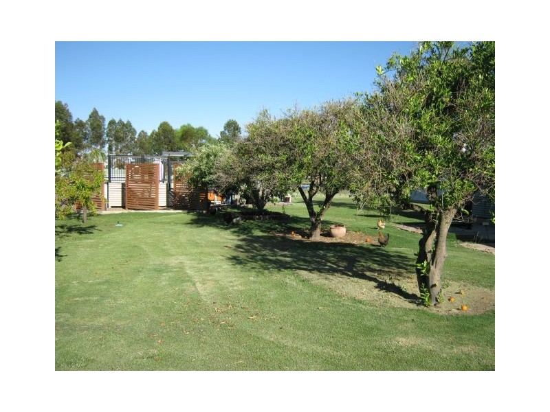 646 Cannawigara Road, Bordertown SA 5268