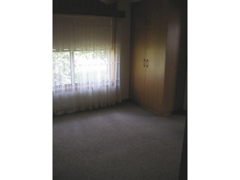 13 South Avenue, Bordertown SA 5268