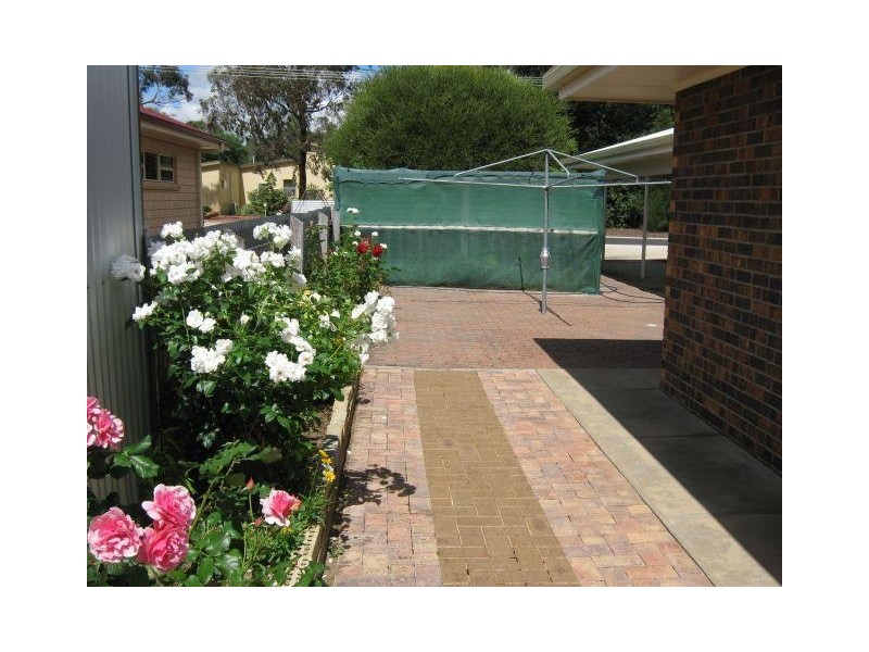 13 South Avenue, Bordertown SA 5268