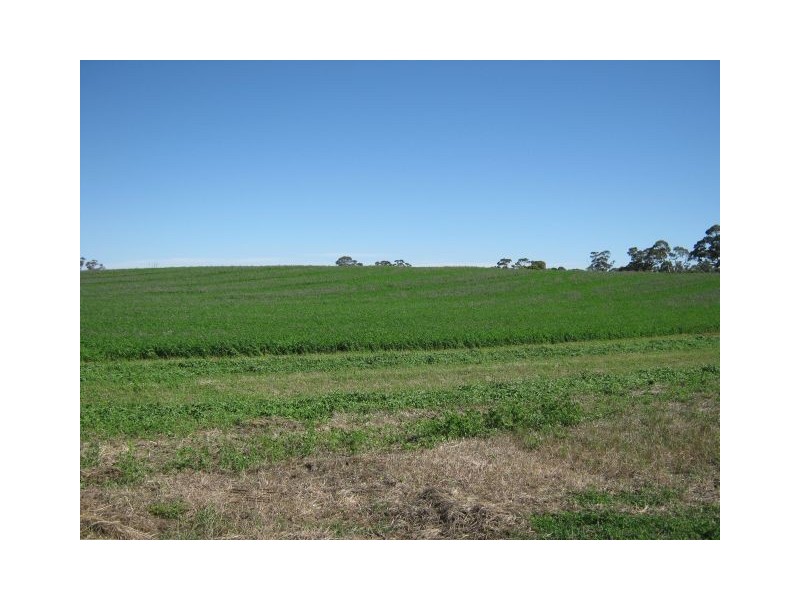 00 Leaches Road, Bordertown SA 5268