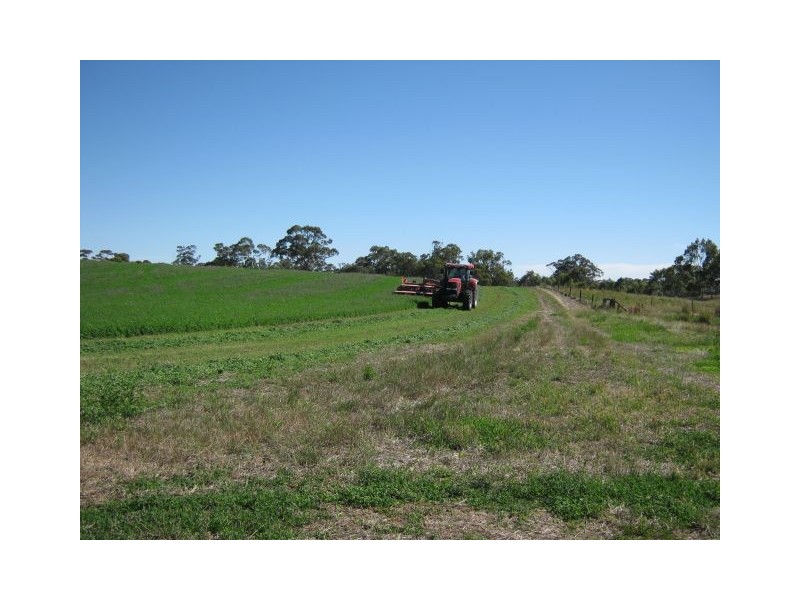 00 Leaches Road, Bordertown SA 5268