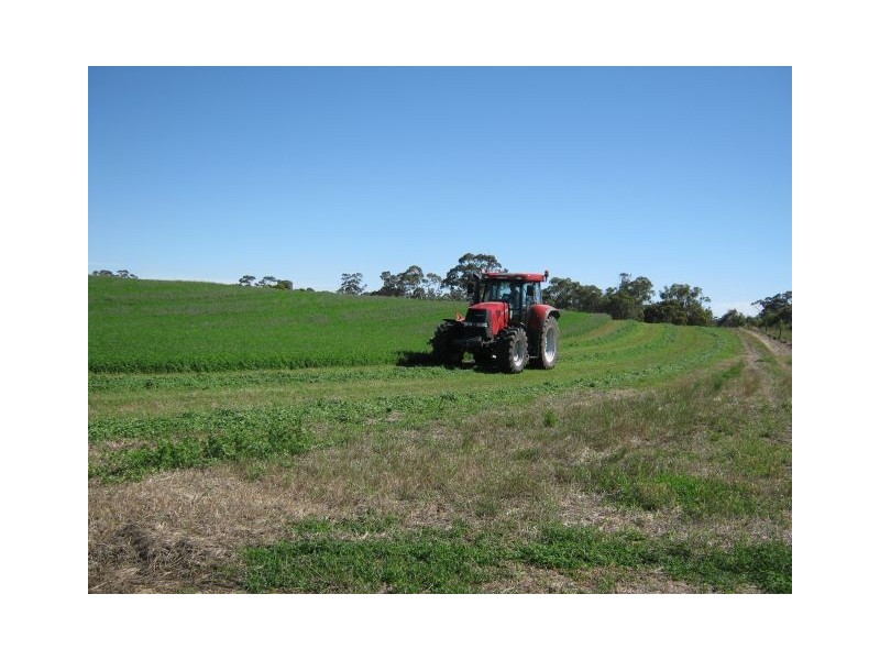 00 Leaches Road, Bordertown SA 5268