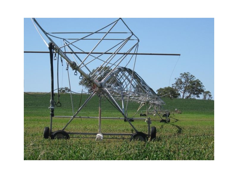 00 Leaches Road, Bordertown SA 5268