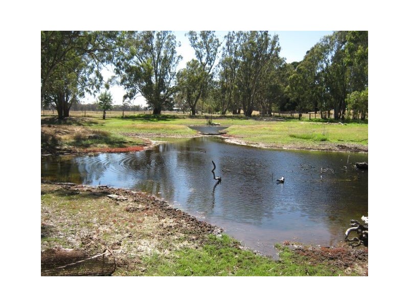 00 Leaches Road, Bordertown SA 5268