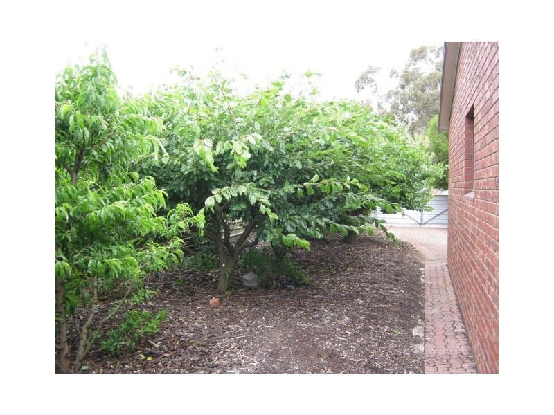 1 Pigeon Flat Road, Bordertown SA 5268