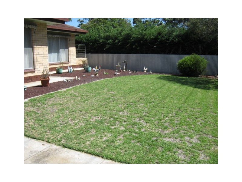 53 Naracoorte Road, Bordertown SA 5268