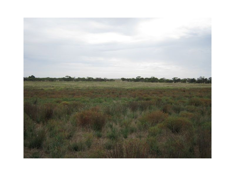 . Cnr General Corners Road and Hawksnet Road, Jervois SA 5259