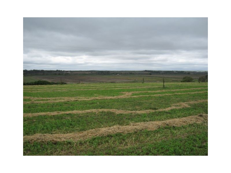 . Woods Point, Murray Bridge SA 5253