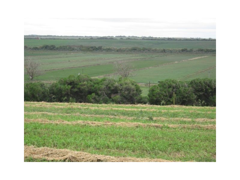 . Woods Point, Murray Bridge SA 5253