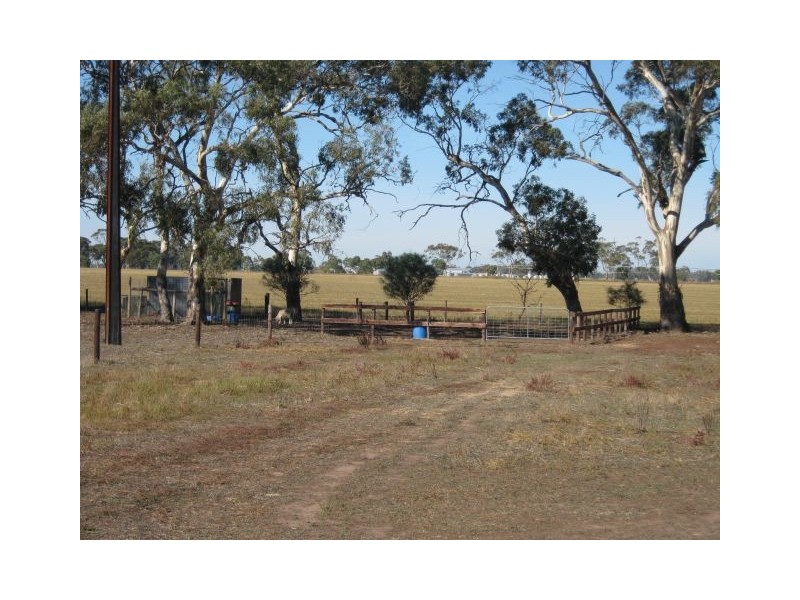 Lot 51 Naracoorte Road, Bordertown SA 5268