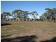 Lot 51 Naracoorte Road, Bordertown SA 5268
