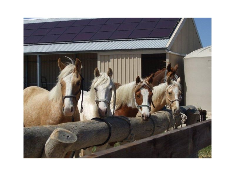 Sec 97 Rowney Road, Mundulla SA 5270