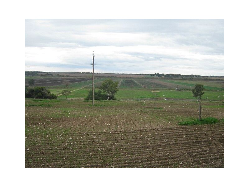 00 Woods Point, Murray Bridge SA 5253