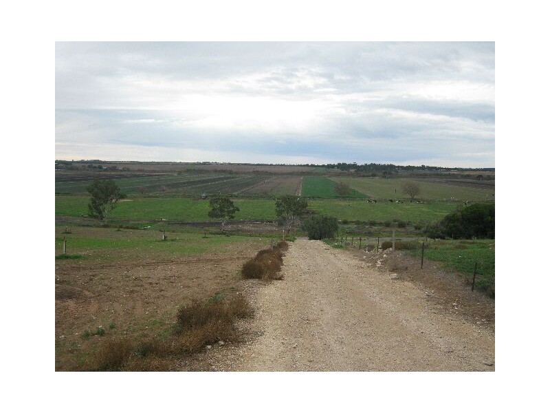 00 Woods Point, Murray Bridge SA 5253