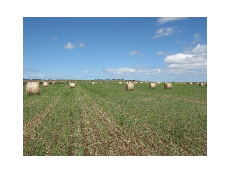 Lot 3 Woods Point, Murray Bridge SA 5253